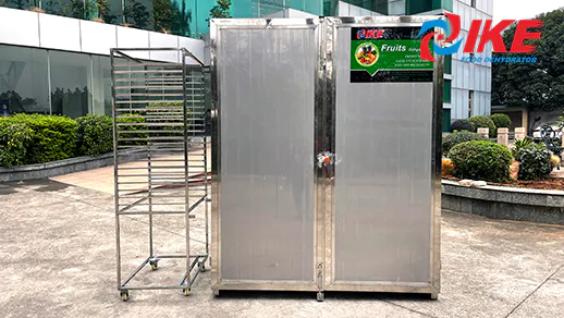 LiveStream-IKE Super Size Cabinet Dryer AIO-DF600TC