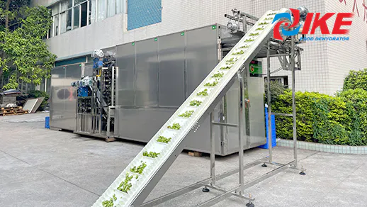 MUL-DF Series Belt Drying System for Fruits and Vegetables