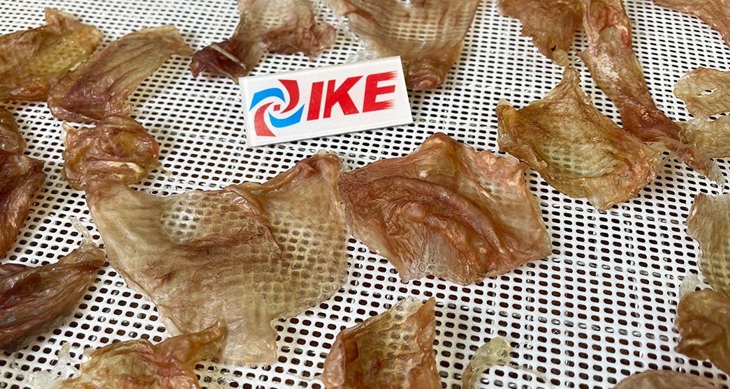 news-Fish Maw dehydrator-IKE-img