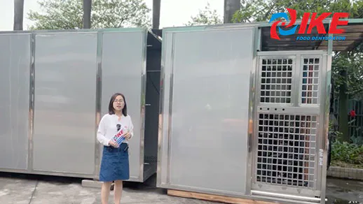 Introduction of AIO-DF2400GW Customized Rainproof Extra Large Dehydration System