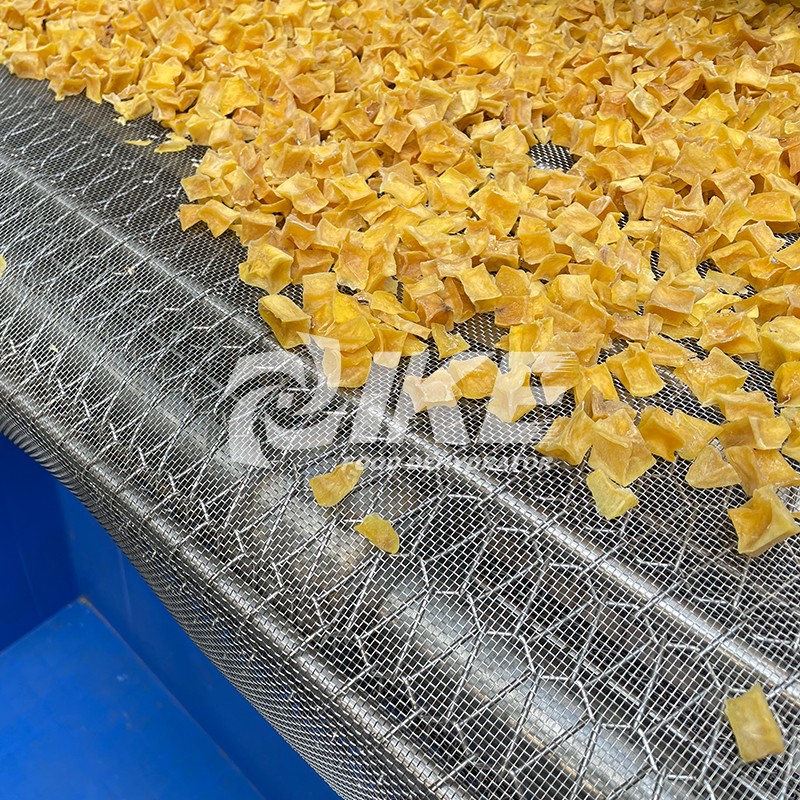 product-IKE-Automatic Industrial Conveyor Belt Dryer For Food Processing-img