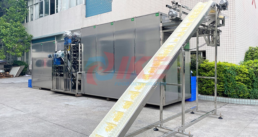 product-Automatic Industrial Conveyor Belt Dryer For Food Processing-IKE-img
