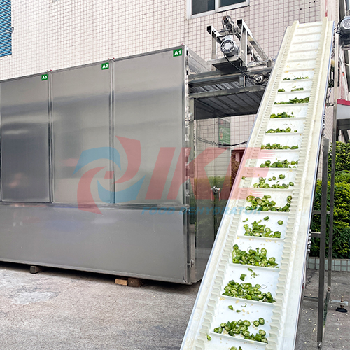 Séchoir industriel automatique à bande transporteuse pour la transformation des aliments
