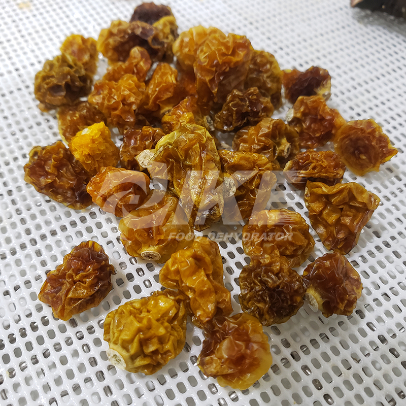 News IKE Cape gooseberry Dehydrator