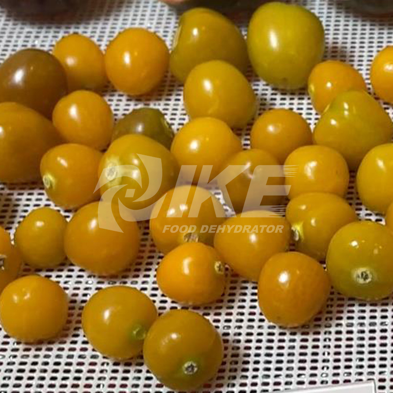 News IKE Cape gooseberry Dehydrator