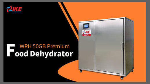 WRH-50GB Food Dehydrator Premium Quality