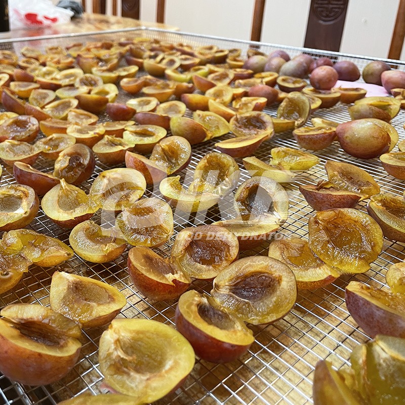 news-Prune Plum Dehydrator-IKE-img