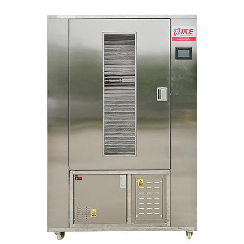 Secador deshidratador de alimentos de alta calidad WRH-100GN PULS