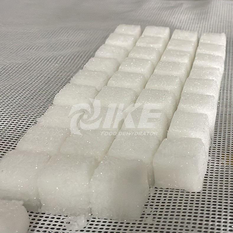 news-IKE-Sugar Cube Dehydrator-img
