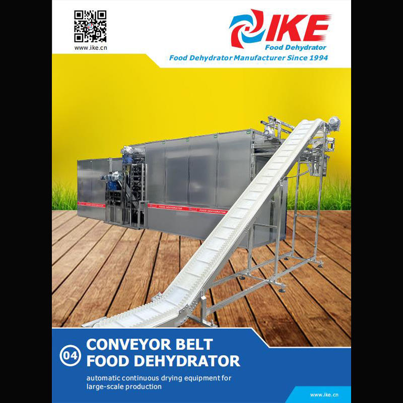 Deshidratador de alimentos con cinta transportadora - Versión 2019