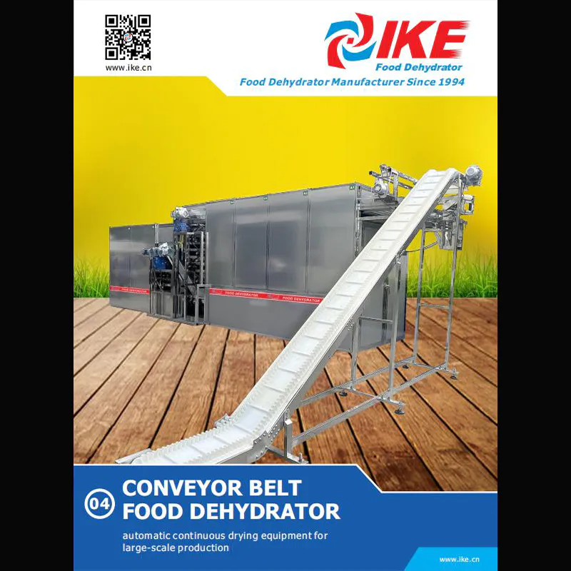 Deshidratador de alimentos con cinta transportadora - Versión 2019