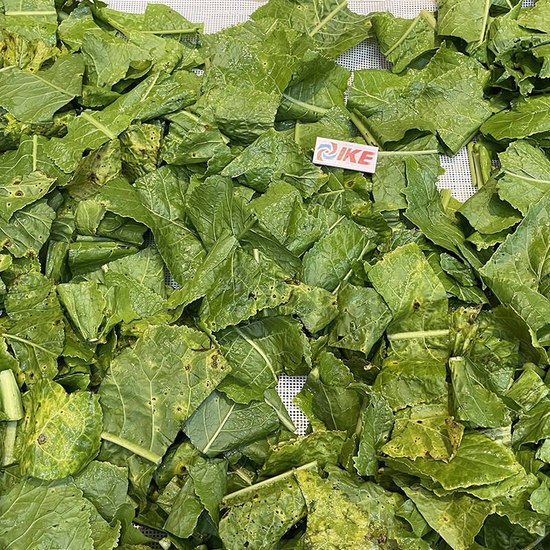 news-Horseradish leaf Dehydration-IKE-img