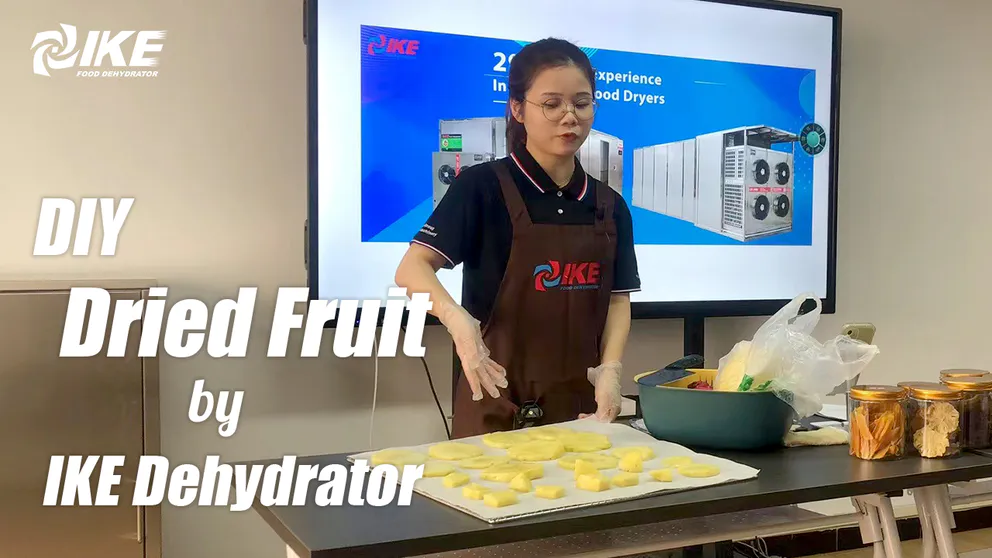 Deshidratador de frutas Livestream-DIY de frutas secas de IKE