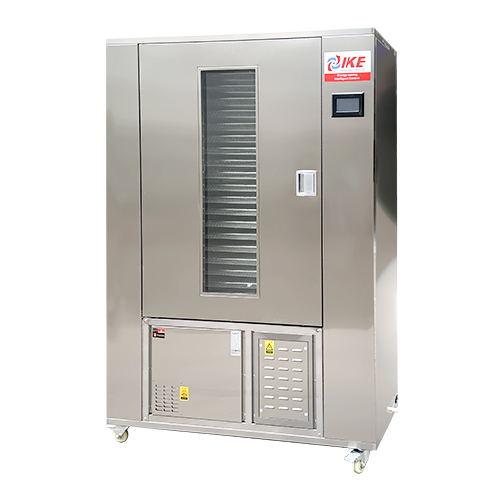 Déshydrateur alimentaire WRH-100GN 1000 watts du fournisseur chinois