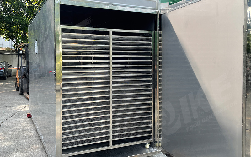 product-IKE Food Machinery-AIO-DF300G Commercial Electric Tray Dryer For Food Industry-img-1