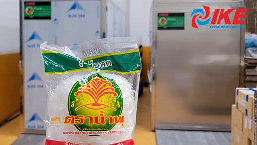 Sécheur commercial de nouilles de riz AIO-DF300 - Projet de séchage en Thaïlande