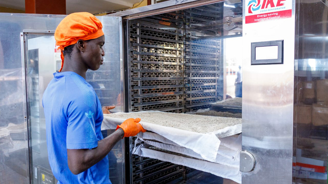 news-Ghana Cassava Semolina Drying Solution-IKE Food Machinery-img