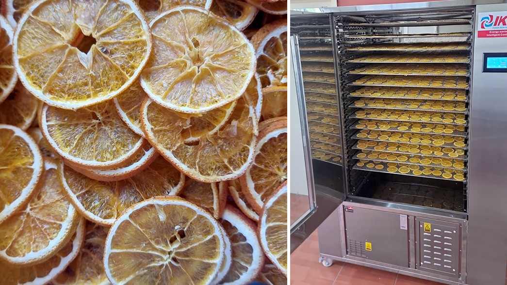 news-IKE Food Machinery-Lebanon Fruit Drying Solution-img