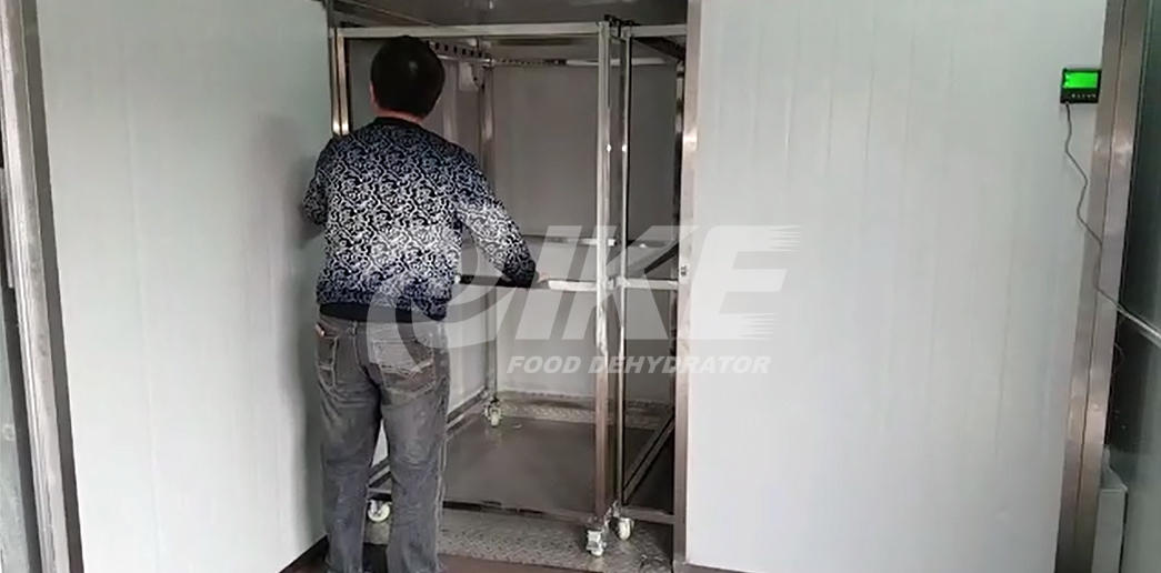 IKE commercial dehydrator machine dryer equipment for vegetable-3