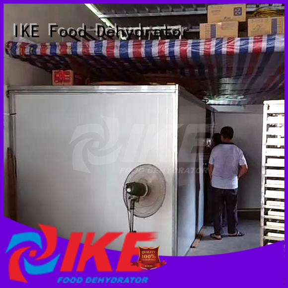 commercial food dehydrator for beef IKE