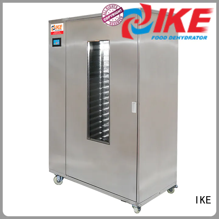 IKE best meat dehydrator for oven
