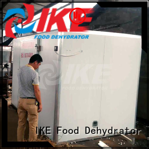 IKE industrial commercial food dryer machine for jerky