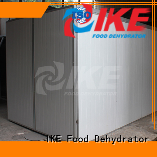 IKE stainless steel electric food dehydrator machine for food