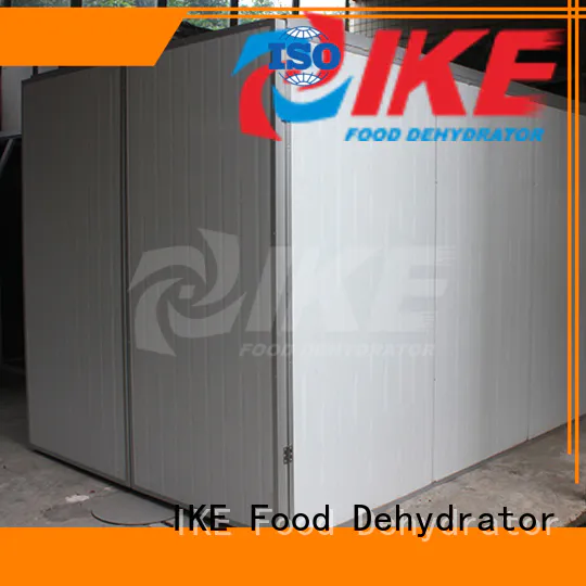 IKE stainless steel electric food dehydrator machine for food