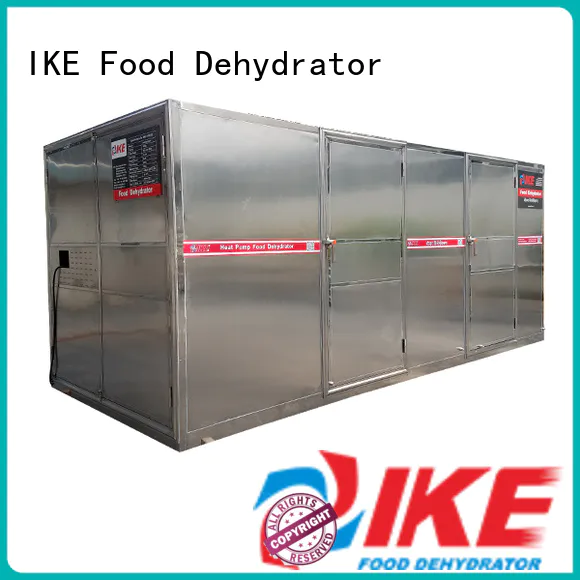 IKE chinese dehydrator machine for food multifunction heat