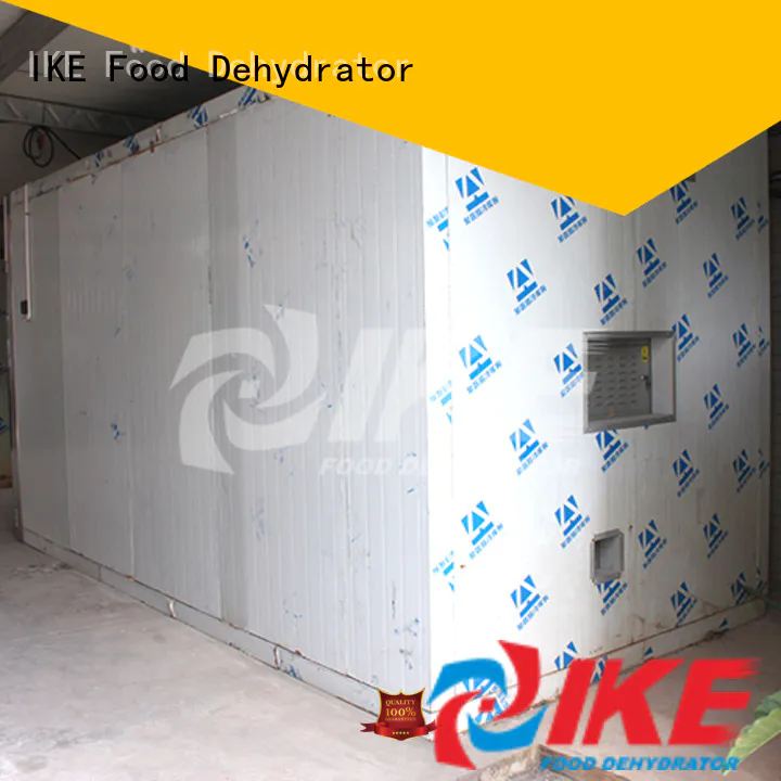 IKE food dehydrator amazon dryer equipment for vegetable