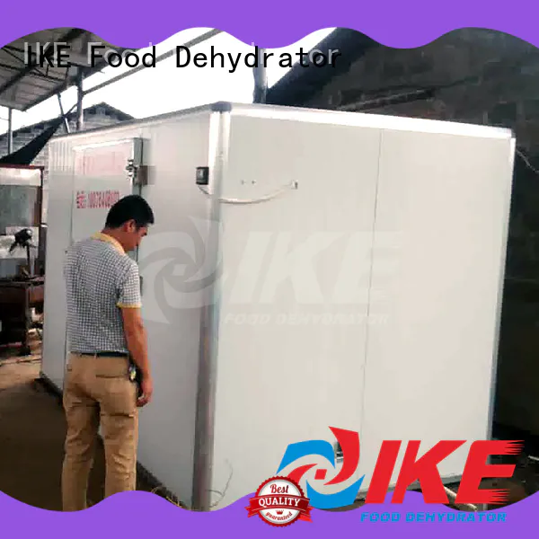 IKE low commercial dryer sale for vegetable