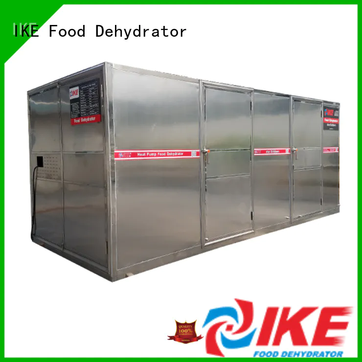 IKE mini meat dryer machine allinone at discount