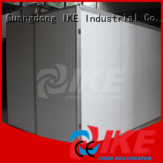 digital heated air dryer machine for dehydrating IKE