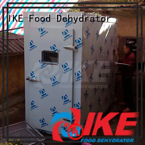 IKE industrial drying equipment high-performance for food
