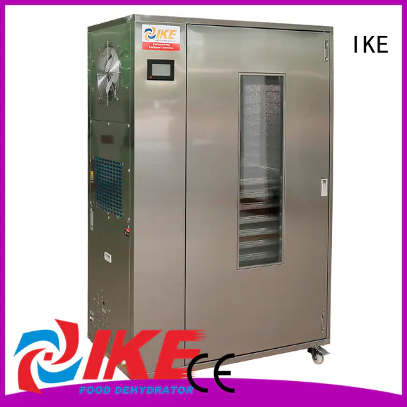 chinese dehydrate in oven allinone flower IKE