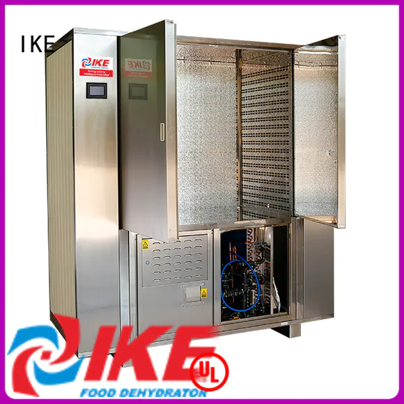 IKE low-noise drying oven stainless steel at discount