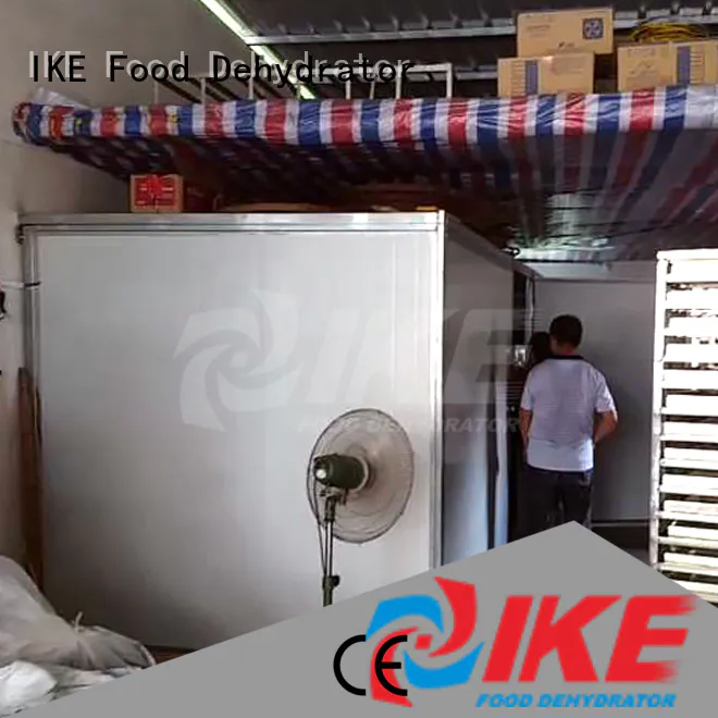 IKE dehydrator uk high-performance for jerky