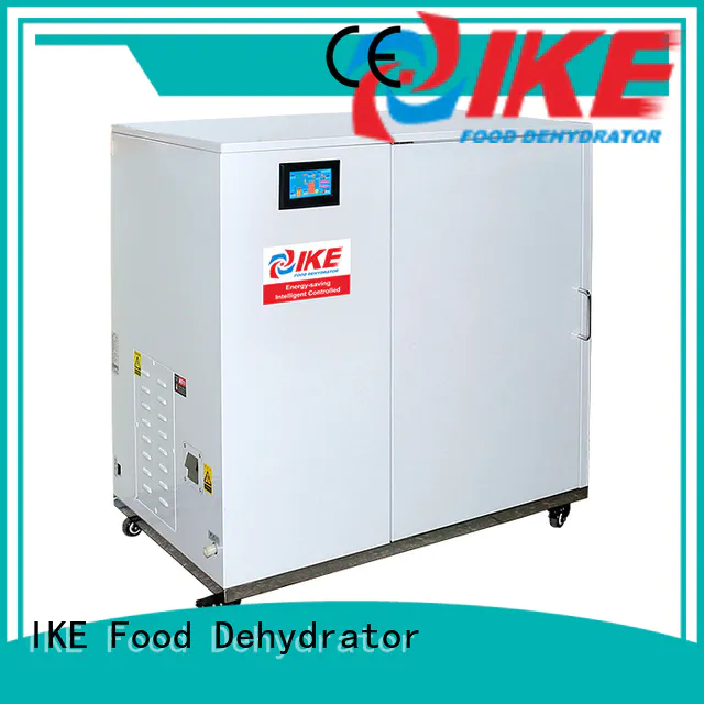 dehydrate in oven fruit temperature researchtype Warranty IKE