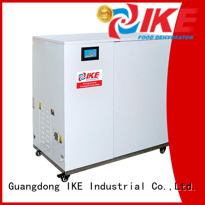 IKE drying oven for meat