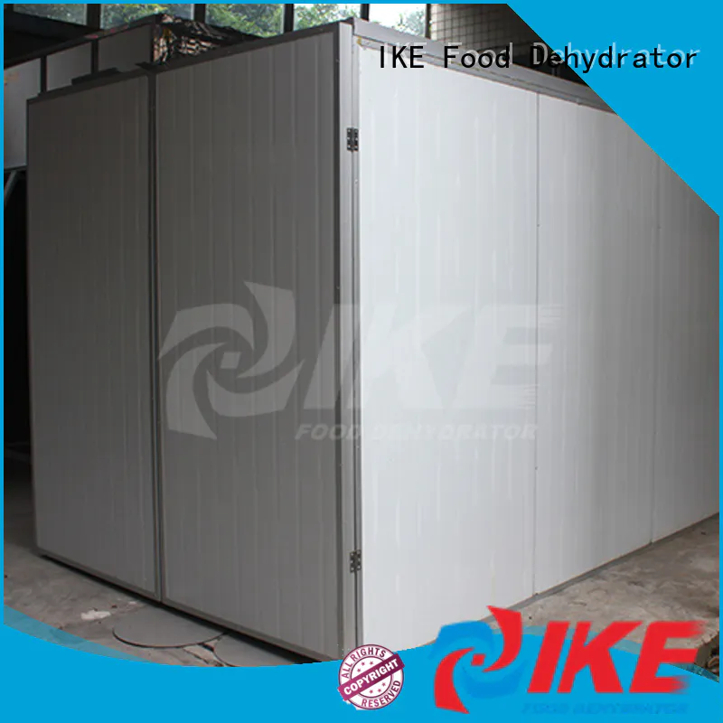 IKE fruit dryer top-selling for dehydrating