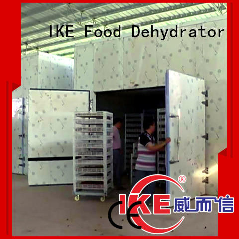 temperature professional food dehydrator vegetable IKE company