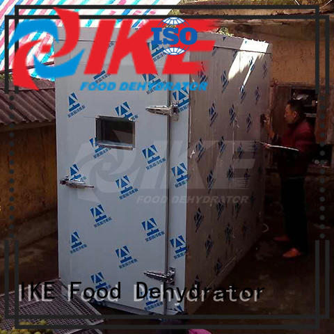 digital oster dehydrator dehydrator fruit IKE