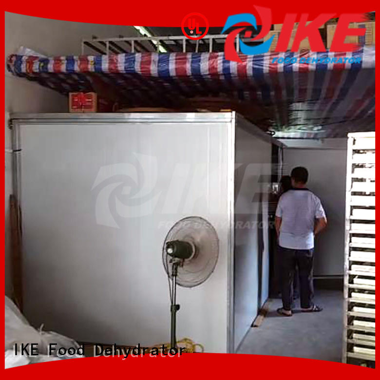 professional drying chamber equipment for dehydrating IKE