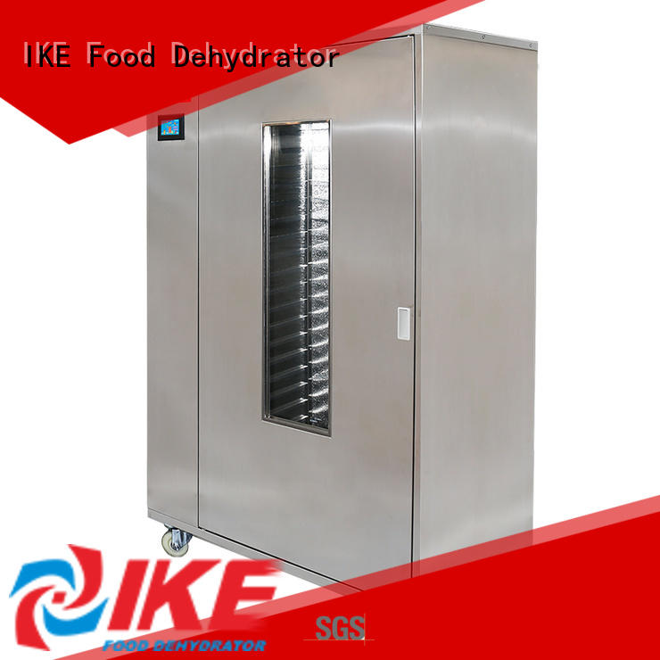 meat dryer machine for meat IKE