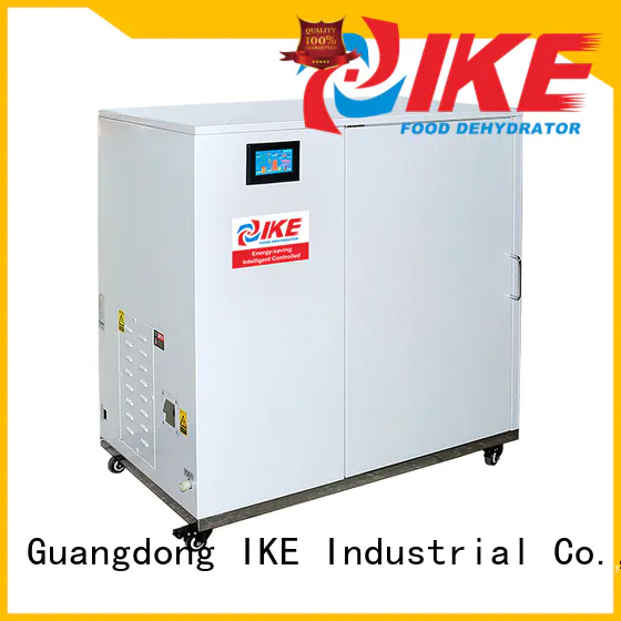 dehydrate in oven stainless tea commercial food dehydrator fruit IKE Brand