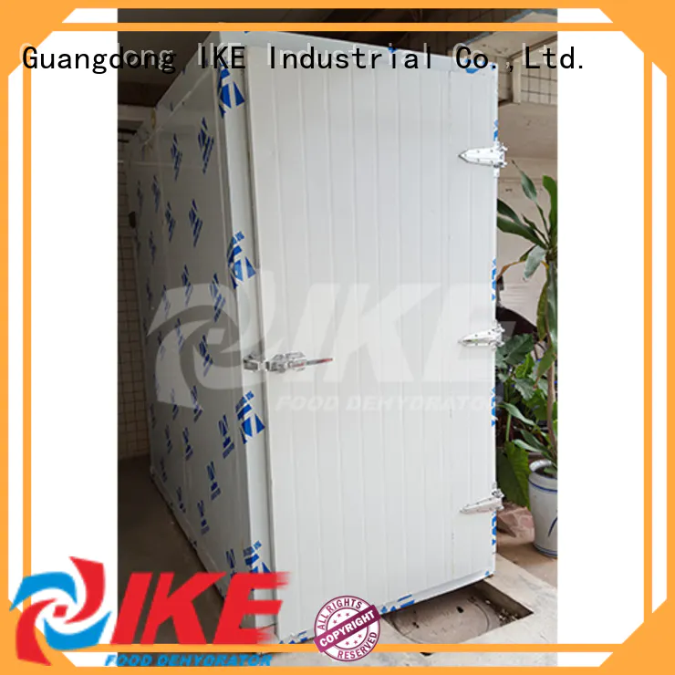 IKE stainless steel fruit dehydrater dryer equipment for drying