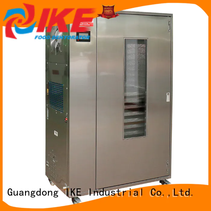 IKE mini industrial drying oven for vegetable