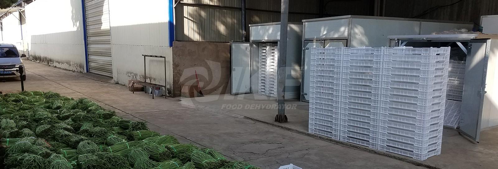 IKE-Manufacturer Of Wrh-1200a Middle Temperature Industrial Large Food Dehydrator