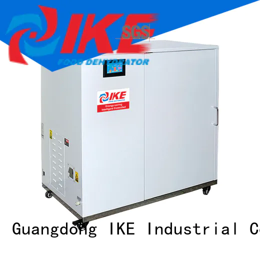 IKE chinese drying oven food machine for leave