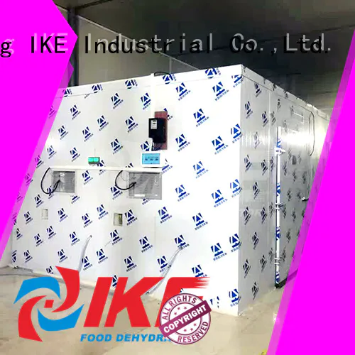 Hot dehydrator machine sale IKE Brand